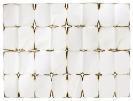 Cornelia Parker: Red Hot Poker Drawing