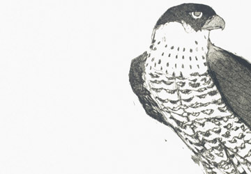Elisabeth Frink custom prints